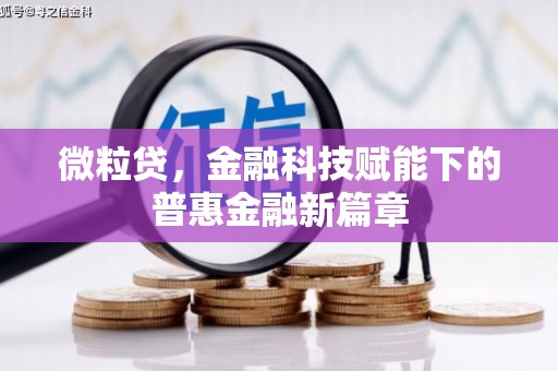 南陵微粒贷，金融科技赋能下的普惠金融新篇章