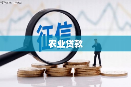南屯农业贷款