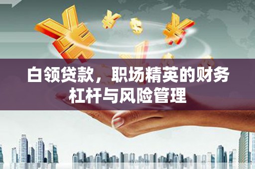 兴国白领贷款，职场精英的财务杠杆与风险管理