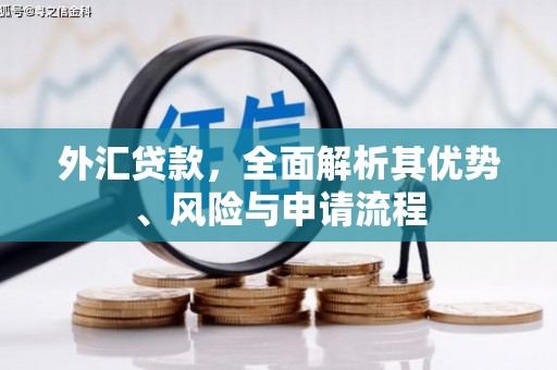 弋阳外汇贷款，全面解析其优势、风险与申请流程