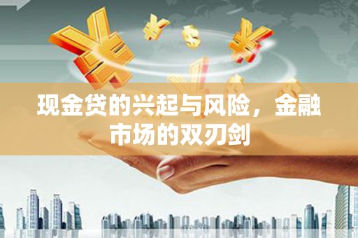 民丰现金贷的兴起与风险，金融市场的双刃剑