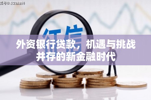 冬山外资银行贷款，机遇与挑战并存的新金融时代