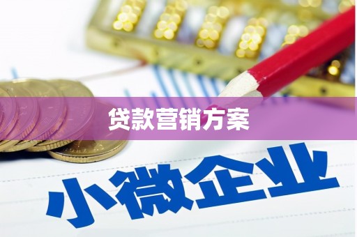 新蔡贷款营销方案