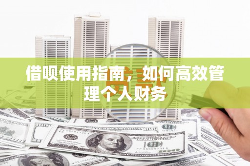 沙雅借呗使用指南，如何高效管理个人财务