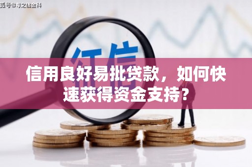 大溪信用良好易批贷款，如何快速获得资金支持？