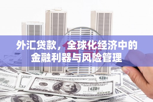 克孜勒苏柯尔克孜外汇贷款，全球化经济中的金融利器与风险管理