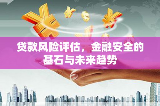 临西贷款风险评估，金融安全的基石与未来趋势