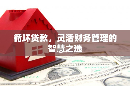 安居循环贷款，灵活财务管理的智慧之选