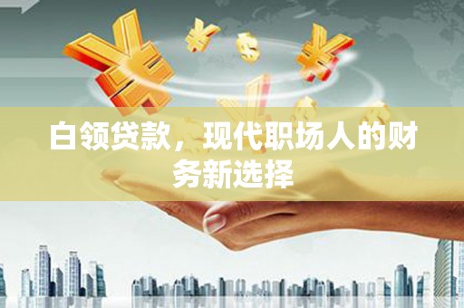 巴音郭楞蒙古白领贷款，现代职场人的财务新选择