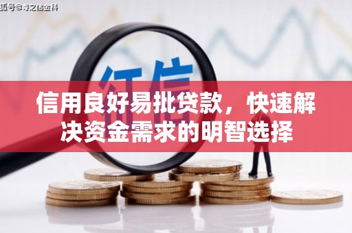 西夏信用良好易批贷款，快速解决资金需求的明智选择