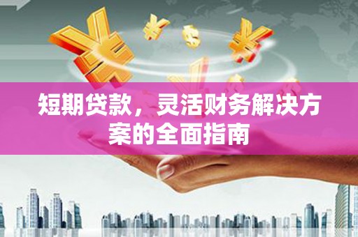 分宜短期贷款，灵活财务解决方案的全面指南