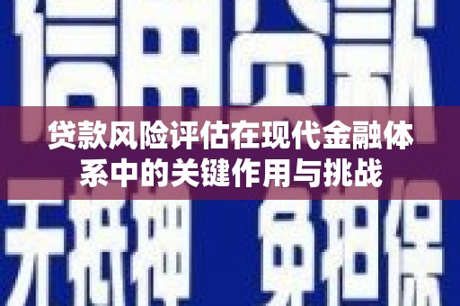 那玛夏贷款风险评估在现代金融体系中的关键作用与挑战