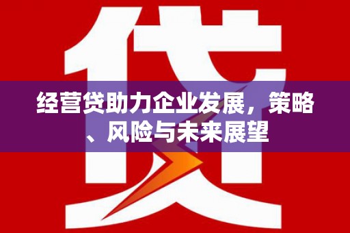 宁武经营贷助力企业发展，策略、风险与未来展望