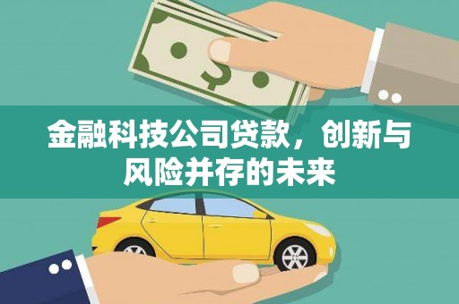 芦竹金融科技公司贷款，创新与风险并存的未来