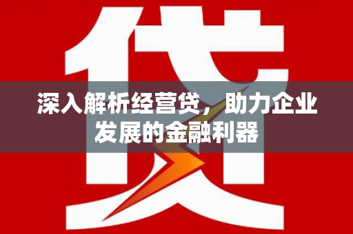 安定深入解析经营贷，助力企业发展的金融利器