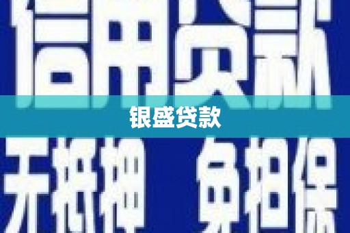 贞丰银盛贷款