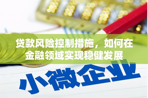 西螺贷款风险控制措施，如何在金融领域实现稳健发展