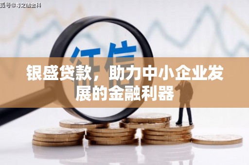 德州银盛贷款，助力中小企业发展的金融利器