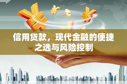 安阳信用贷款，现代金融的便捷之选与风险控制