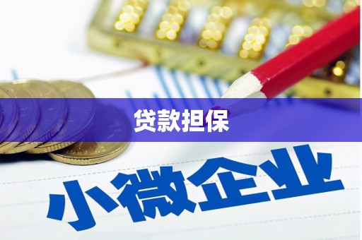 秦汉贷款担保