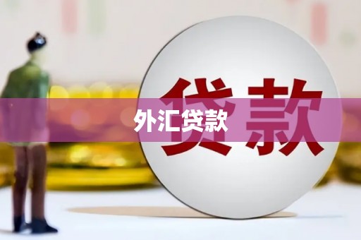 三湾外汇贷款