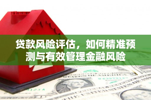 睢宁贷款风险评估，如何精准预测与有效管理金融风险