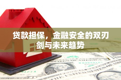 三原贷款担保，金融安全的双刃剑与未来趋势