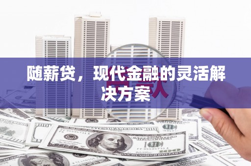 黔西南随薪贷，现代金融的灵活解决方案