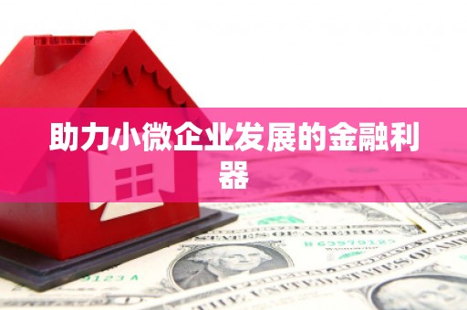 光泽助力小微企业发展的金融利器
