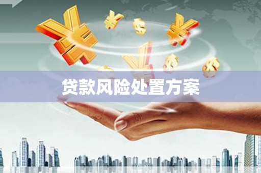 衡阳贷款风险处置方案