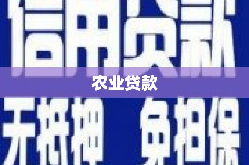 永宁农业贷款