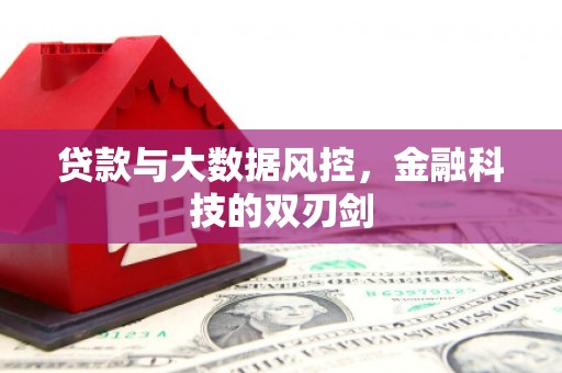 蒲城贷款与大数据风控，金融科技的双刃剑