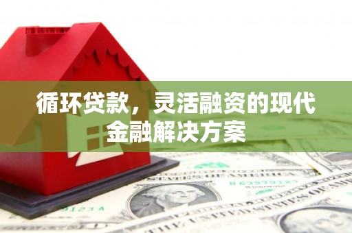 安康循环贷款，灵活融资的现代金融解决方案