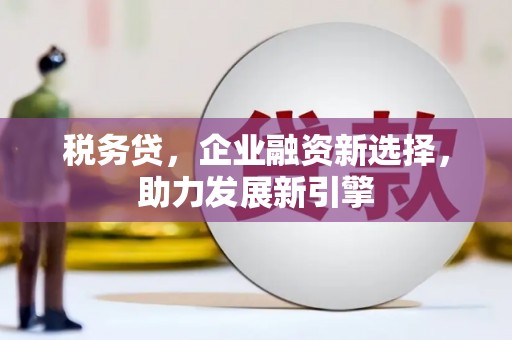 长滨税务贷，企业融资新选择，助力发展新引擎