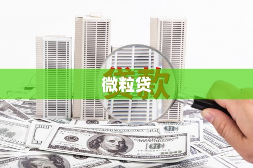 顺庆微粒贷