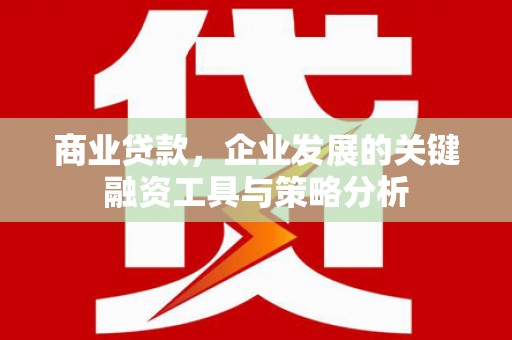 郫县商业贷款，企业发展的关键融资工具与策略分析