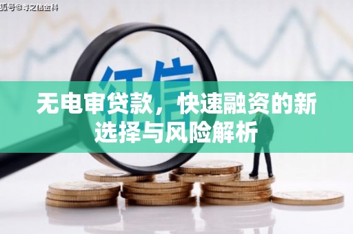 勐海无电审贷款，快速融资的新选择与风险解析