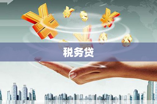 疏勒税务贷