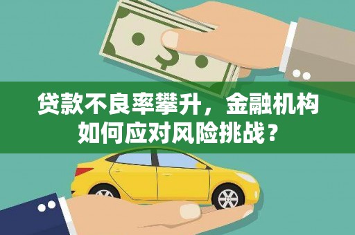 南安贷款不良率攀升，金融机构如何应对风险挑战？