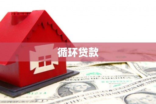 望奎循环贷款
