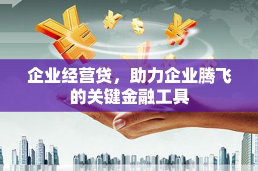 宝坻企业经营贷，助力企业腾飞的关键金融工具