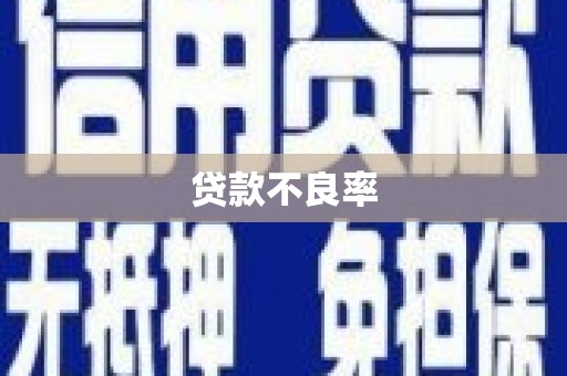 夏县贷款不良率