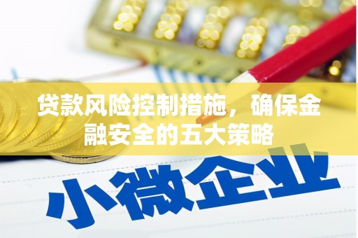 天元贷款风险控制措施，确保金融安全的五大策略