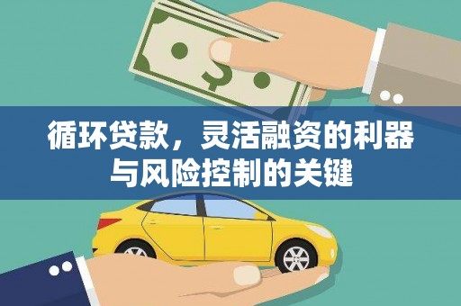 巴东循环贷款，灵活融资的利器与风险控制的关键