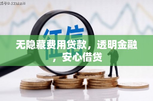 枋山无隐藏费用贷款，透明金融，安心借贷