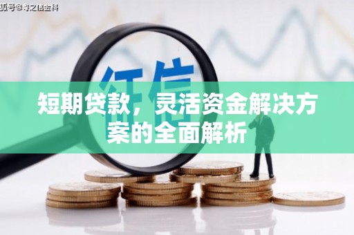 泰兴短期贷款，灵活资金解决方案的全面解析
