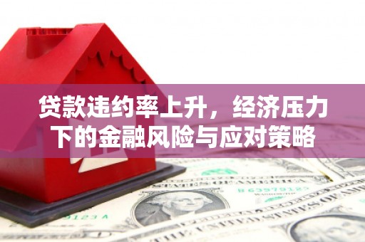 荆州贷款违约率上升，经济压力下的金融风险与应对策略