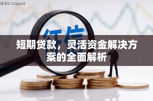 沿河短期贷款，灵活资金解决方案的全面解析