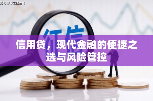 泰宁信用贷，现代金融的便捷之选与风险管控