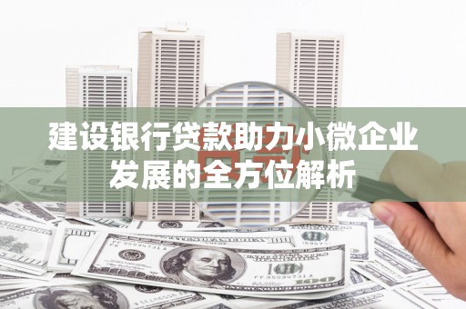 宁安建设银行贷款助力小微企业发展的全方位解析